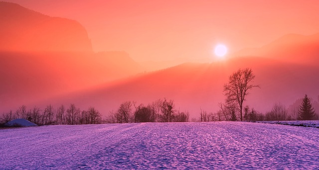A vibrant sunset casts a warm pink and orange glow over a snow-covered field, with silhouetted trees and distant mountains in the hazy background.